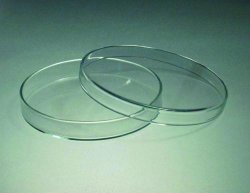 Slika za PETRI DISH 60 X 12 MM